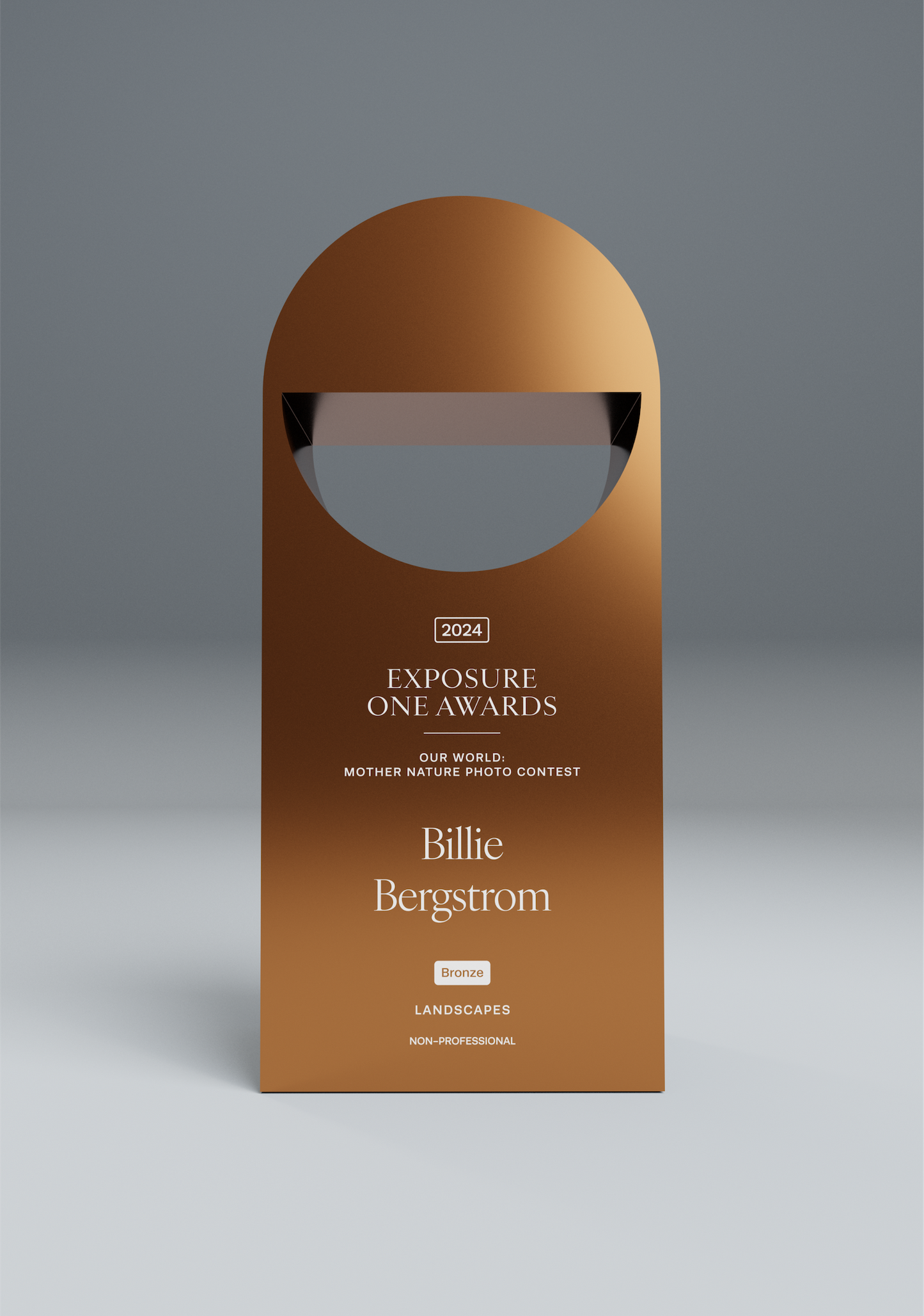 Exposure One Awards Bronze Trophy